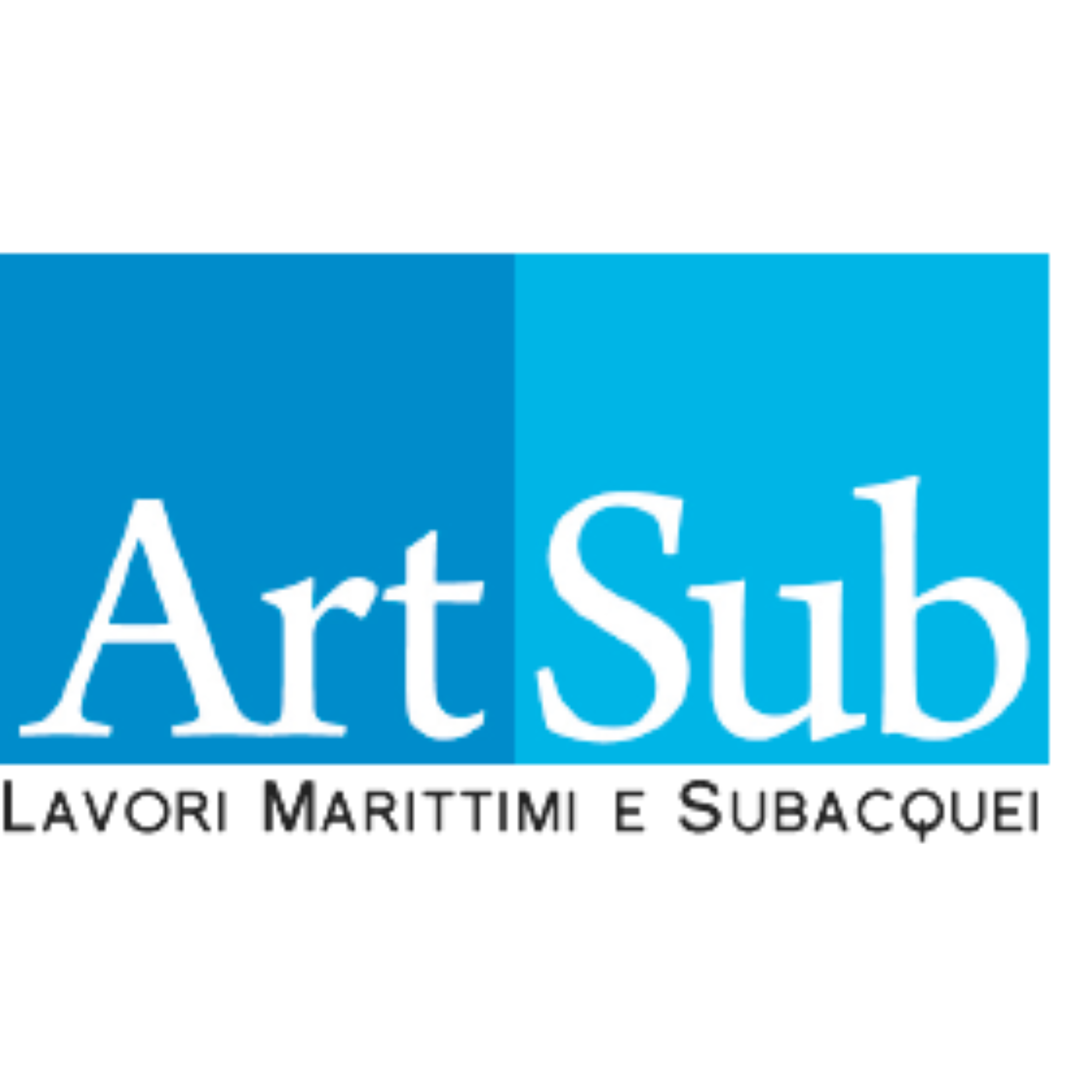 ART SUB S.R.L. logo