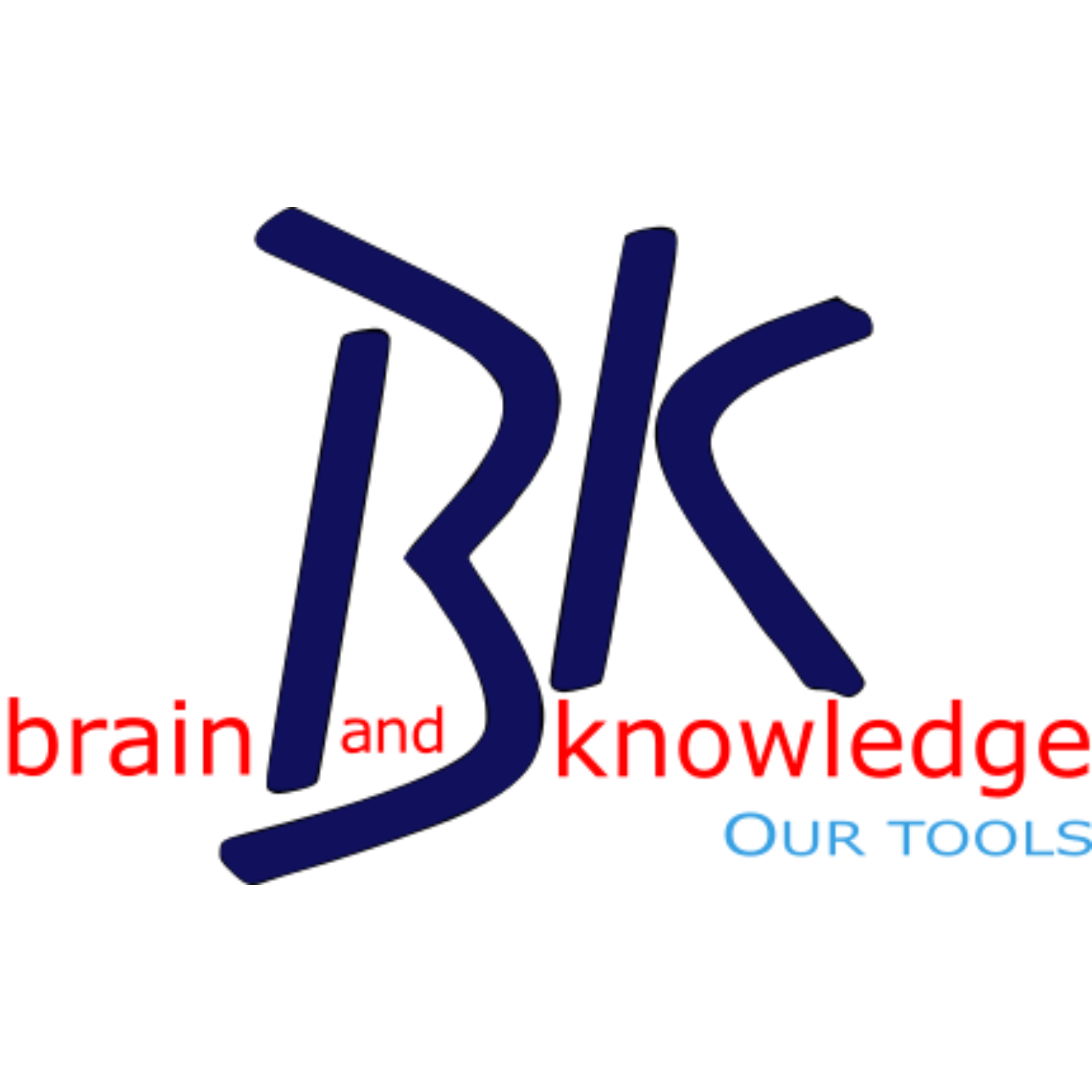 BK S.R.L. logo